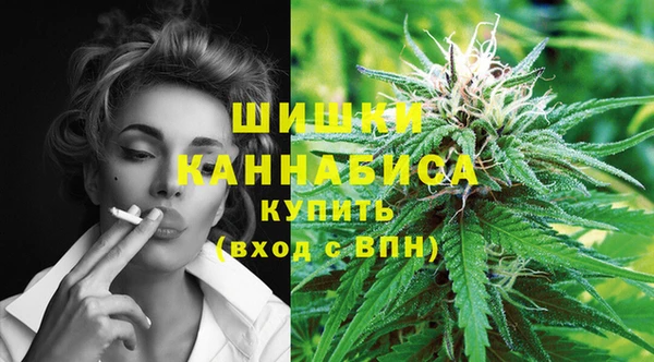 Альфа ПВП Бородино