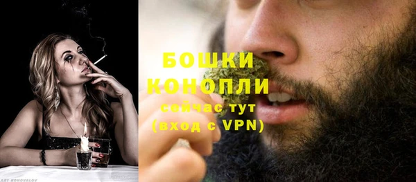 Альфа ПВП Бородино