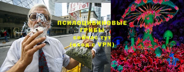 Альфа ПВП Бородино