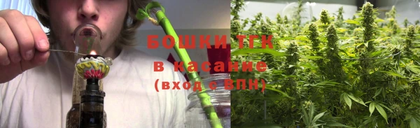 Альфа ПВП Бородино