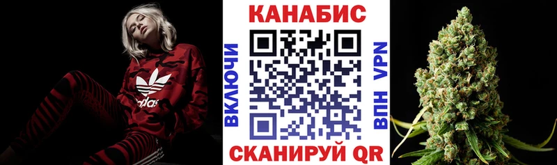 Каннабис OG Kush Клин